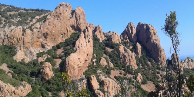 Massif des Maures près du camping Le Sellig au Muy