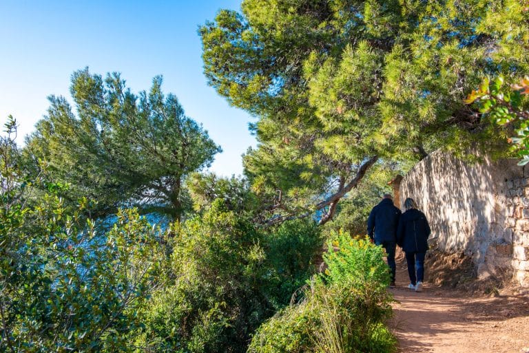 Camping Le Sellig : Adobestock 581535428 (1)